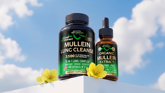 3 Best Ways to Cleanse Your Lungs: Mullein Extract, Healthy Diet, Breathing Exercises
