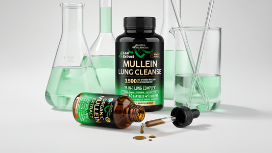 Mullein Extract for Respiratory Health: Reviews, Studies, and Dosage Tips