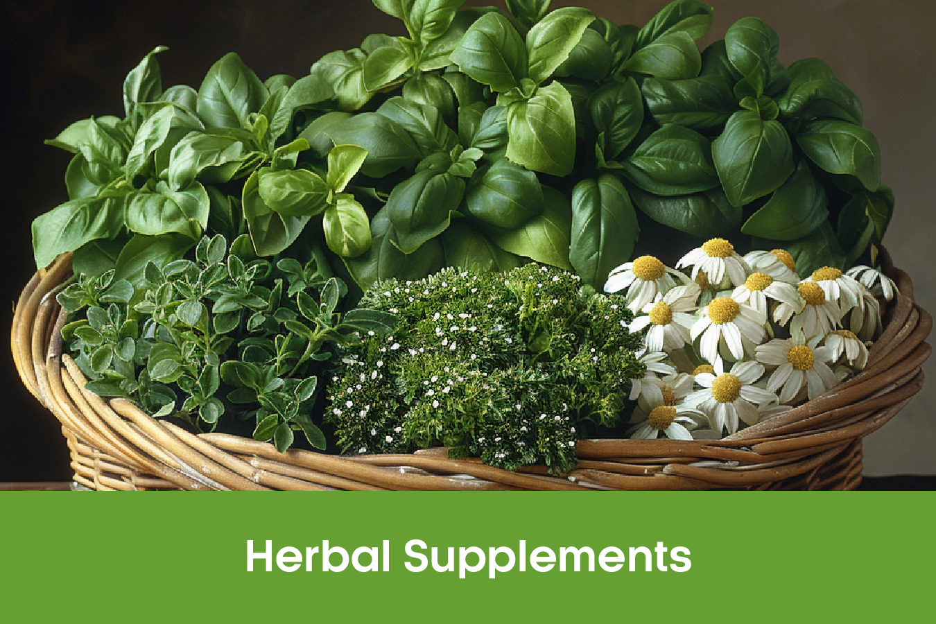 Herbal Products