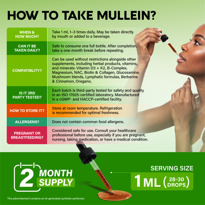 An infographic titled "How to Take Mullein?" detailing product usage guidelines and key features:   
Dosage & Use: Take 1 ml (28–30 drops) 1–3 times daily directly or in a drink; take a 1-month break after finishing a bottle.   
Compatibility & Safety: Compatible with most supplements; features third-party testing, an allergen-free formula, and room temperature storage.   
Supply: Indicates a 2-month supply 