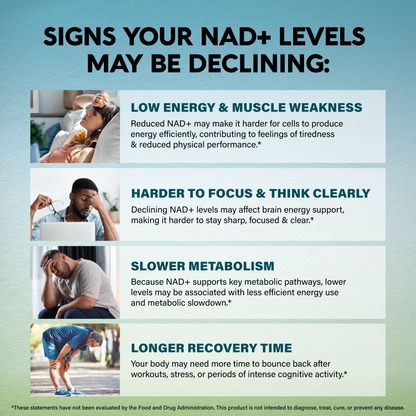 Graphic listing four indicators under SIGNS YOUR NAD+ LEVELS MAY BE DECLINING: LOW ENERGY & MUSCLE WEAKNESS due to reduced cellular energy; HARDER TO FOCUS & THINK CLEARLY from lower brain energy support; SLOWER METABOLISM linked to less efficient energy use; and LONGER RECOVERY TIME requiring more time to bounce back after workouts or stress.