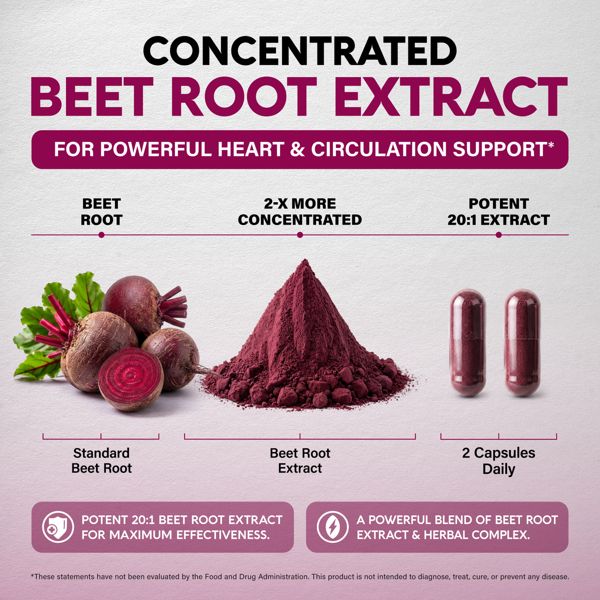 An infographic titled "Concentrated Beet Root Extract" highlighting product strength for heart and circulation support:   Concentration Breakdown: Displays a visual progression from raw whole beetroots to concentrated beet root extract powder to two daily capsules, emphasizing a potent 20:1 extract ratio (2-x more concentrated).   Key Benefits: Features a potent 20:1 beet root extract combined with an herbal complex for maximum effectiveness. 