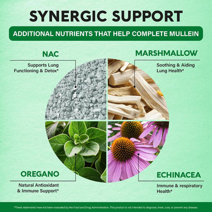 Synergic Herbal Support

NAC: Supports lung functioning and detoxification.
Marshmallow Root: Soothes and aids overall lung health.
Oregano: Provides natural antioxidant and immune support.
Echinacea: Supports immune and respiratory health.