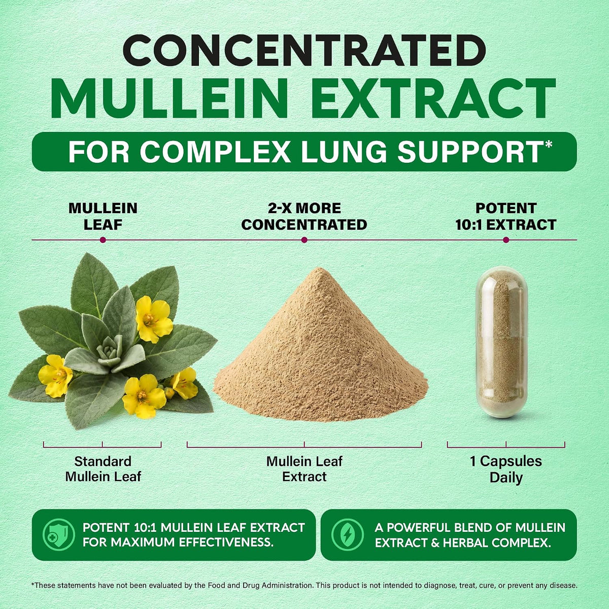 Concentrated Mullein Extract

Concentration: Formulated with a 2-X more concentrated, potent 10:1 Mullein leaf extract.
Formulation: Delivers a 10:1 Mullein leaf extract combined with an herbal complex in a convenient 1-capsule daily dose.
