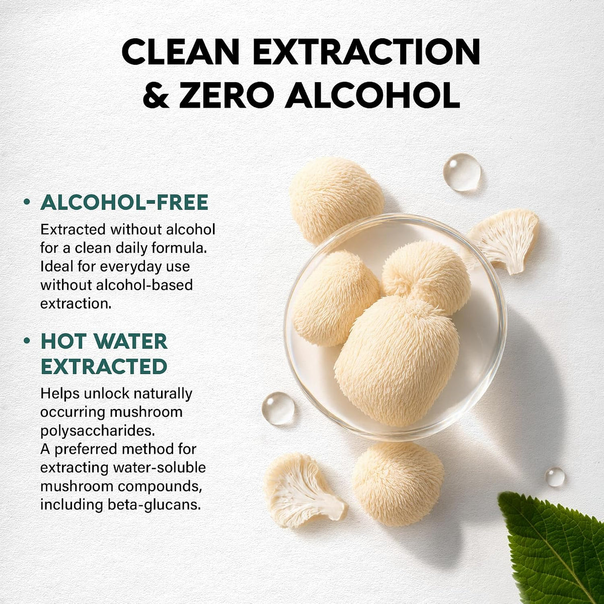 Clean Extraction & Zero Alcohol Process

Alcohol-Free Formula: Extracted completely without alcohol to deliver a clean daily supplement suitable for regular use.
Hot Water Extracted: Uses hot water extraction to unlock naturally occurring mushroom polysaccharides, capturing water-soluble compounds such as beta-glucans.