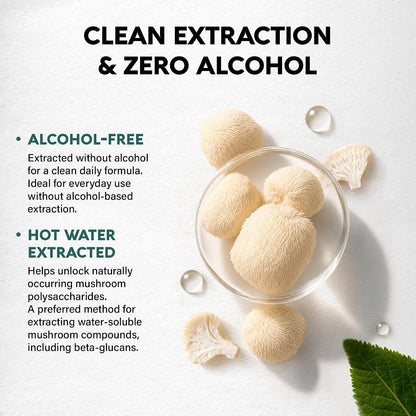 Clean Extraction & Zero Alcohol Process

Alcohol-Free Formula: Extracted completely without alcohol to deliver a clean daily supplement suitable for regular use.
Hot Water Extracted: Uses hot water extraction to unlock naturally occurring mushroom polysaccharides, capturing water-soluble compounds such as beta-glucans.