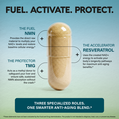 Product graphic titled FUEL. ACTIVATE. PROTECT. showing a transparent supplement capsule containing light beige powder. Pointer lines highlight three core ingredients: NMN as The Fuel to boost NAD+ levels and cellular energy, Resveratrol as The Accelerator to activate longevity pathways, and TMG as The Protector acting as a methyl donor for safe NMN absorption. A bottom banner summarizes the formula as THREE SPECIALIZED ROLES. ONE SMARTER ANTI-AGING BLEND.