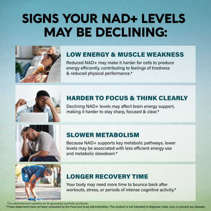 Educational graphic titled Signs Your NAD+ Levels May Be Declining detailing four warning signs. Highlights Low Energy & Muscle Weakness from reduced cellular energy production; Harder to Focus & Think Clearly due to affected brain energy support; Slower Metabolism linked to lower NAD+ metabolic pathways; and Longer Recovery Time needed after workouts, stress, or intense cognitive activity.