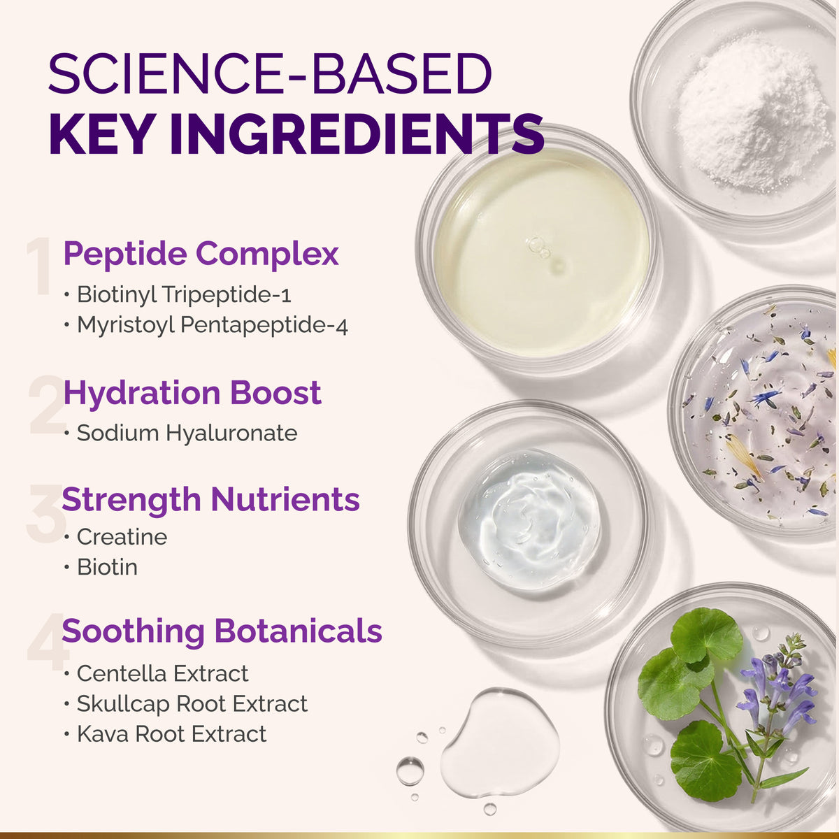 Ingredient infographic titled Science-Based Key Ingredients set against clear glass petridishes holding cosmetic liquids, powders, and botanical leaves. Outlines four key complexes: 1. Peptide Complex (Biotinyl Tripeptide-1, Myristoyl Pentapeptide-4); 2. Hydration Boost (Sodium Hyaluronate); 3. Strength Nutrients (Creatine, Biotin); and 4. Soothing Botanicals (Centella Extract, Skullcap Root Extract, Kava Root Extract).