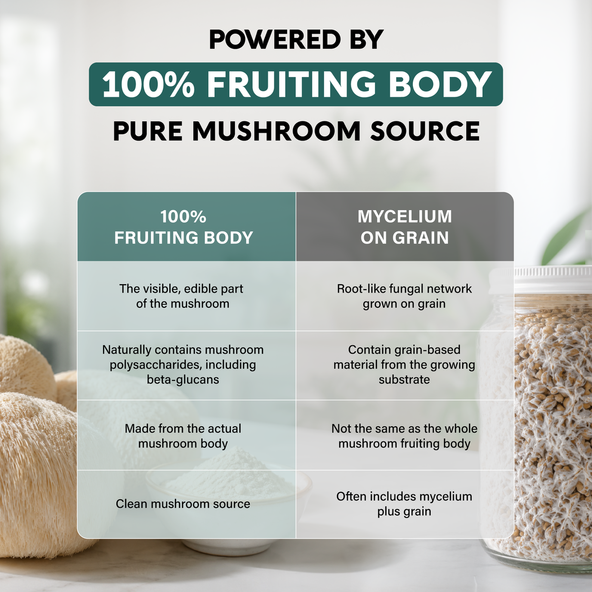 Comparative diagram titled Powered by 100% Fruiting Body Pure Mushroom Source. Contrasts NutraHarmony's 100% Fruiting Body (visible edible mushroom with natural polysaccharides and beta-glucans) against Mycelium on Grain (root-like fungal network containing grain substrate fillers).