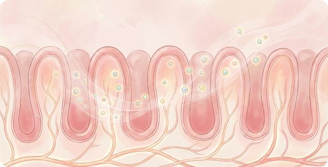 Healthy intestinal villi